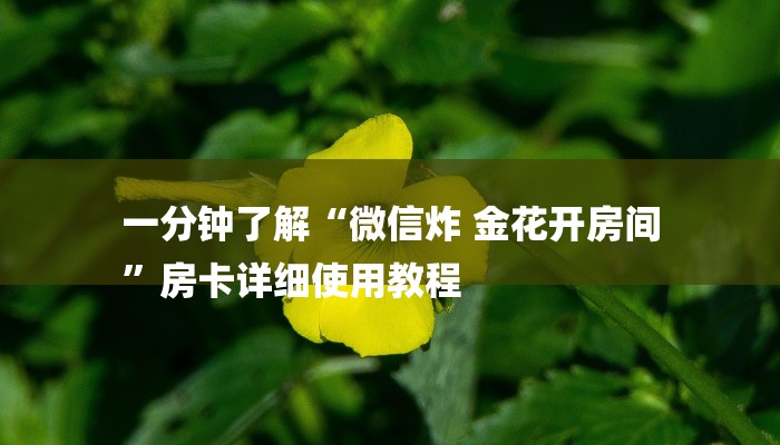 一分钟了解“微信炸 金花开房间
”房卡详细使用教程