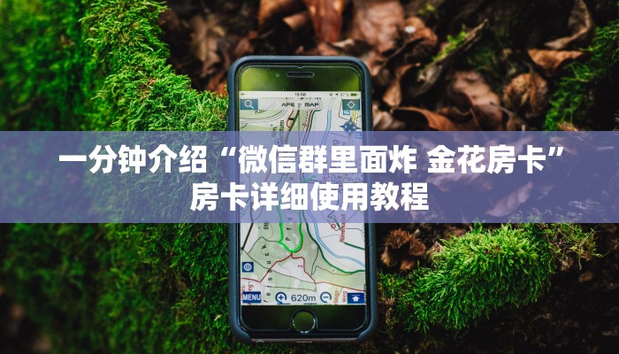 一分钟介绍“微信群里面炸 金花房卡”房卡详细使用教程