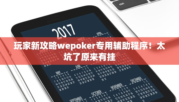 玩家新攻略wepoker专用辅助程序！太坑了原来有挂