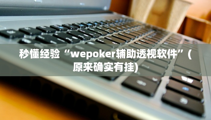 秒懂经验“wepoker辅助透视软件”(原来确实有挂)