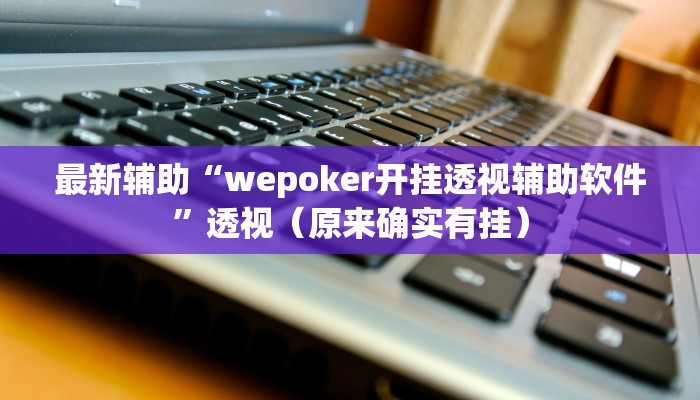 最新辅助“wepoker开挂透视辅助软件”透视（原来确实有挂）