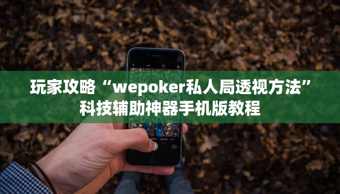 玩家攻略“wepoker私人局透视方法”科技辅助神器手机版教程