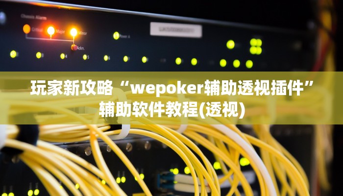 玩家新攻略“wepoker辅助透视插件”辅助软件教程(透视)