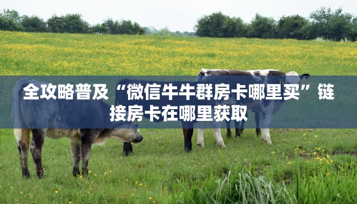 全攻略普及“微信牛牛群房卡哪里买”链接房卡在哪里获取