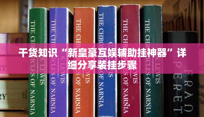 干货知识“新皇豪互娱辅助挂神器”详细分享装挂步骤