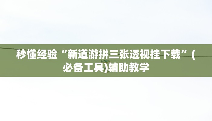 秒懂经验“新道游拼三张透视挂下载”(必备工具)辅助教学