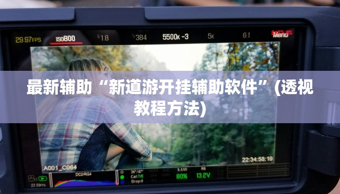 最新辅助“新道游开挂辅助软件”(透视教程方法)